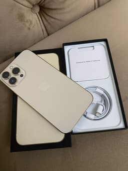 iPhone 13 Pro Max 1